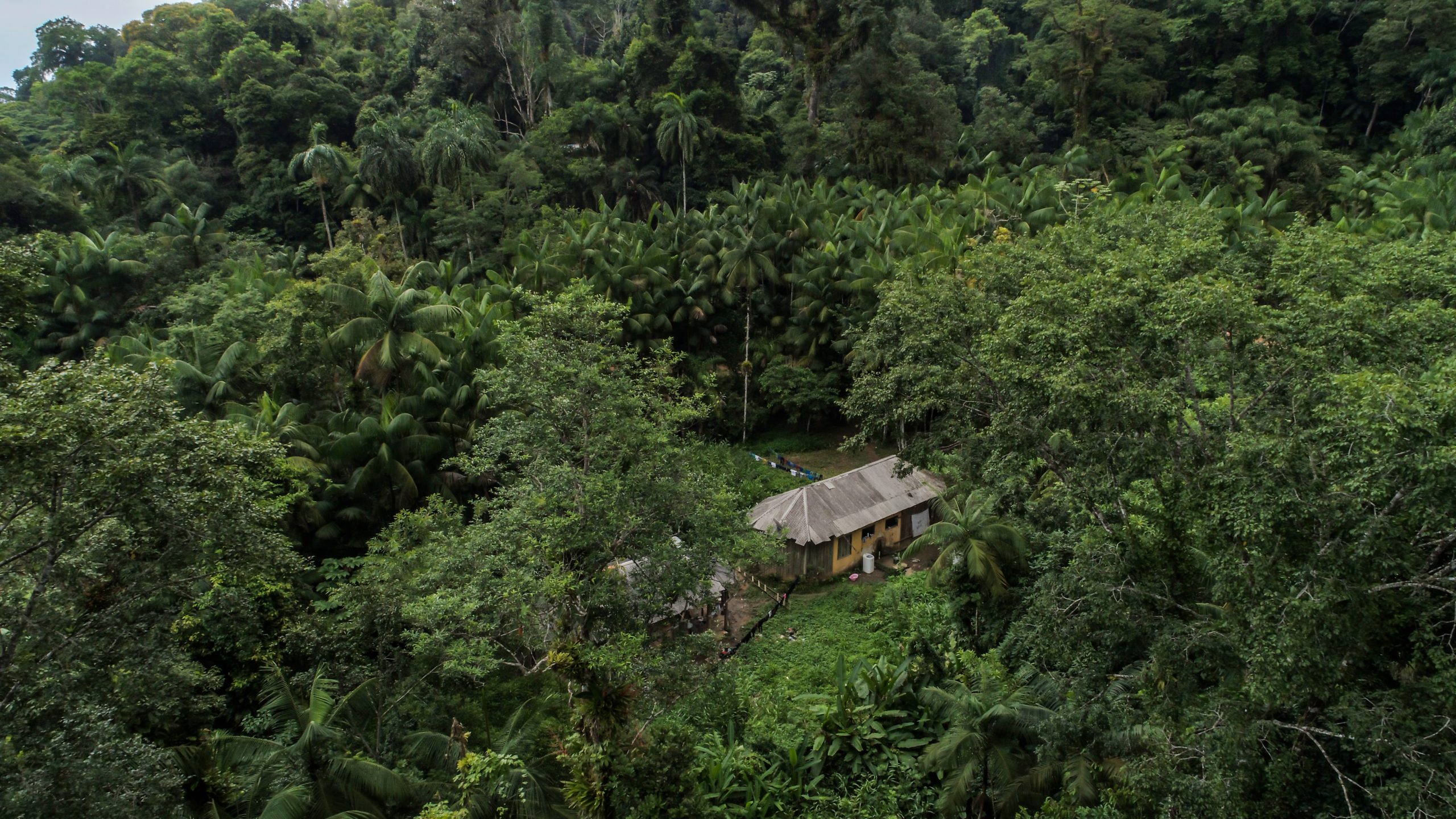 Aldeia Guarani do Rio Silveira